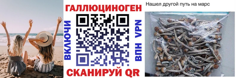 Псилоцибиновые грибы Magic Shrooms Солигалич